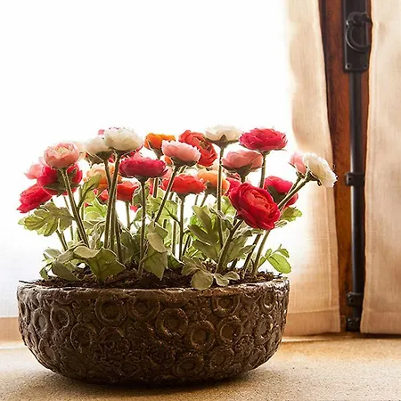 Casas Do - Country 3* Juizo