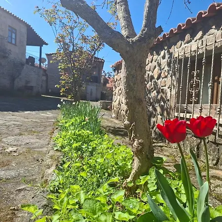 Casas Do - Country 3*