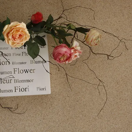 Casas Do - Country 3*