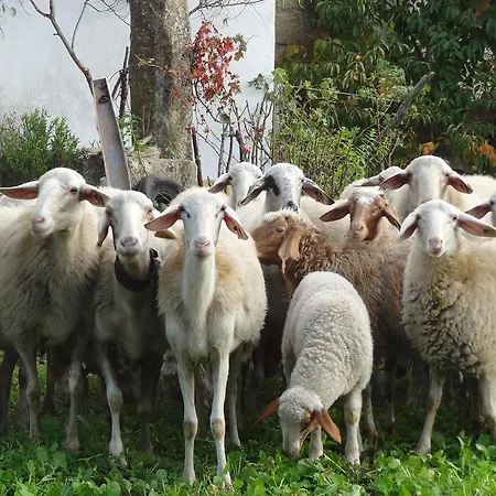 Casas Do - Country Vakantiepark 3*