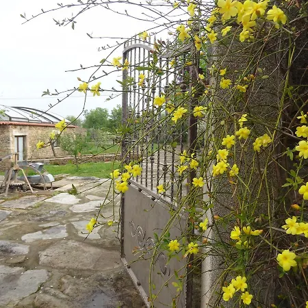 Casas Do - Country 3*