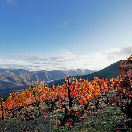 Casas Do - Country Vakantiepark 3*