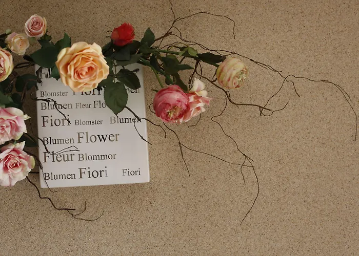 Casas Do - Country 3*