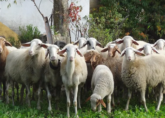 Casas Do - Country Kompleks wypoczynkowy 3*