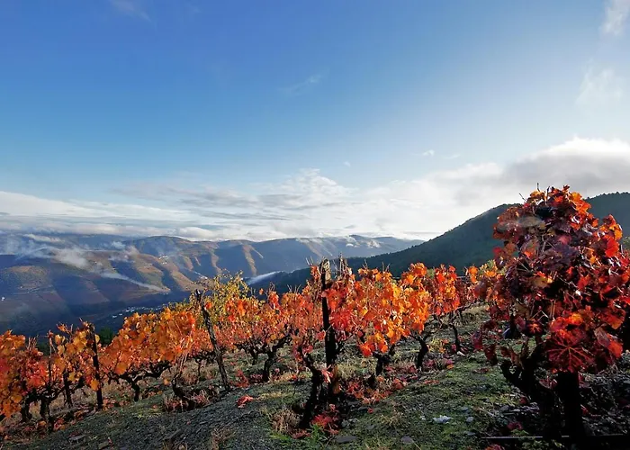 Casas Do - Country Aldeamento Turístico 3*
